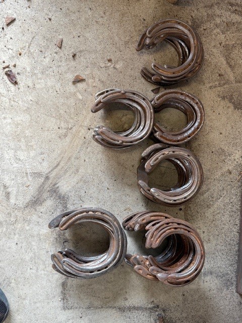 images/RS HORSE SHOES.jpg